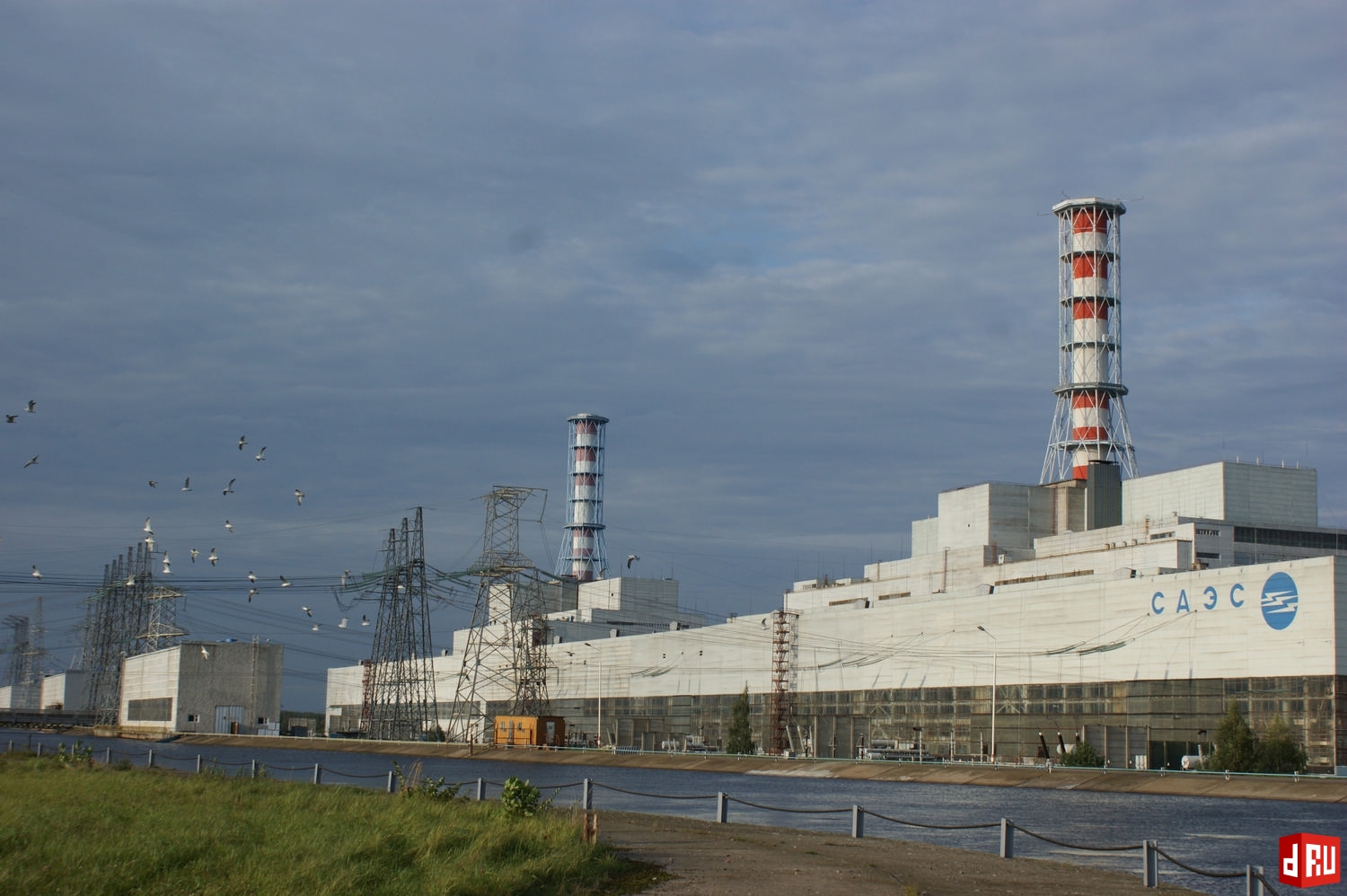 В этом году путевку в атомную энергетику получили 9 выпускников школ, заключив договор о целевом обучении в профильных вузах от Смоленской АЭС.